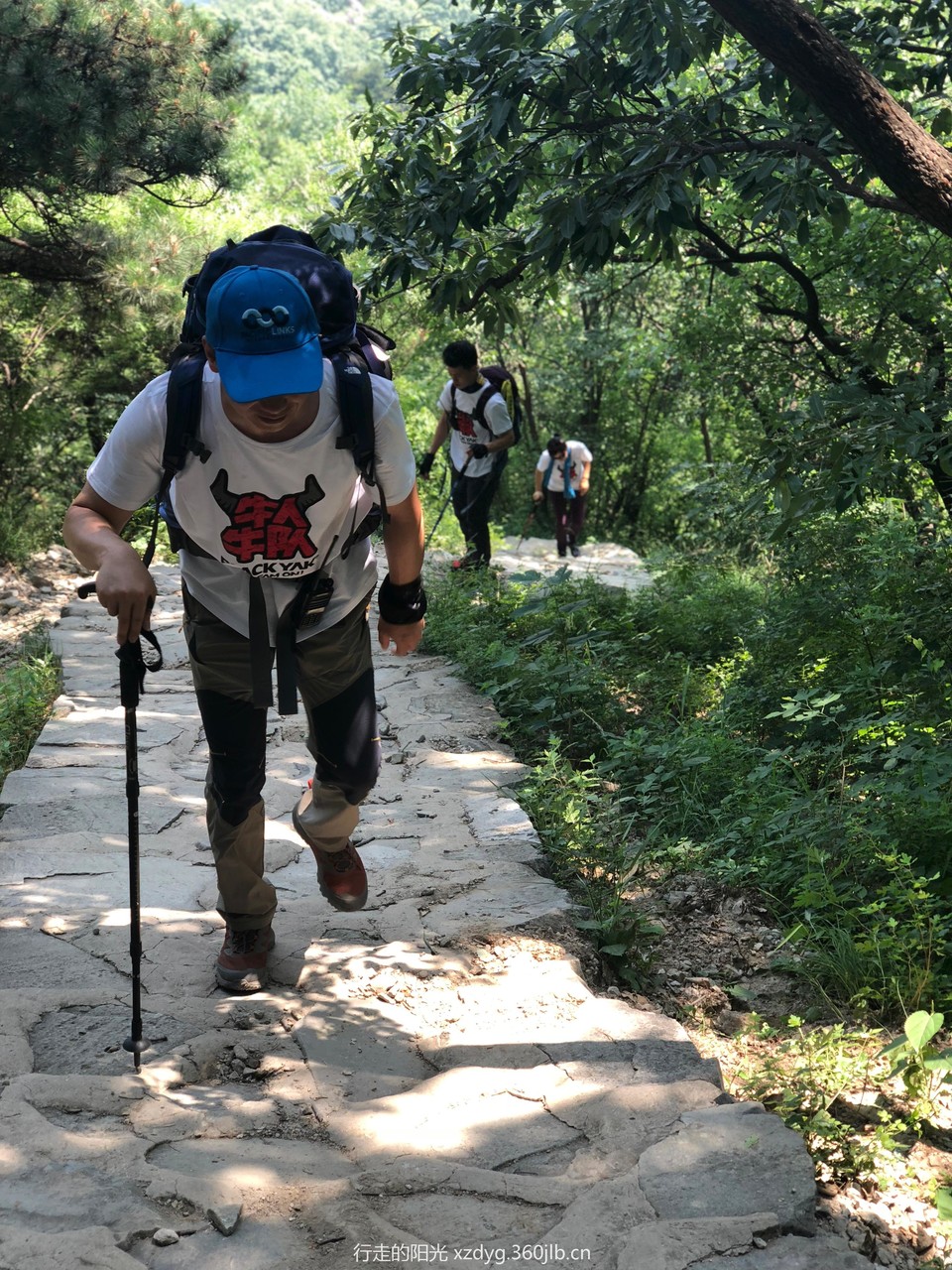 mmexport1529994589681