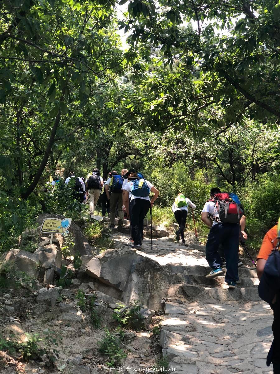 mmexport1529976296266