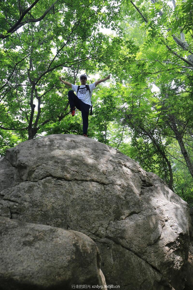 mmexport1527487774144