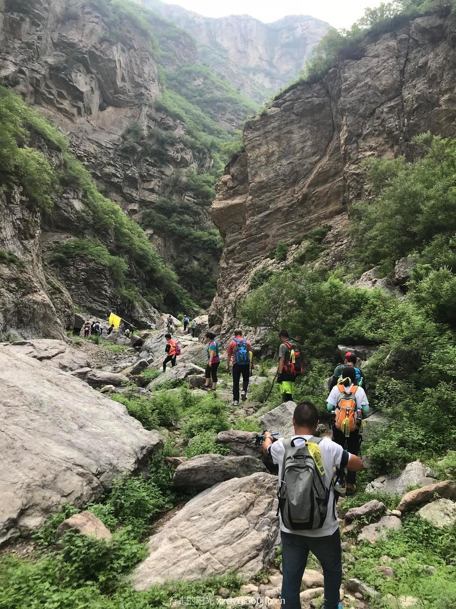 mmexport1531581785746