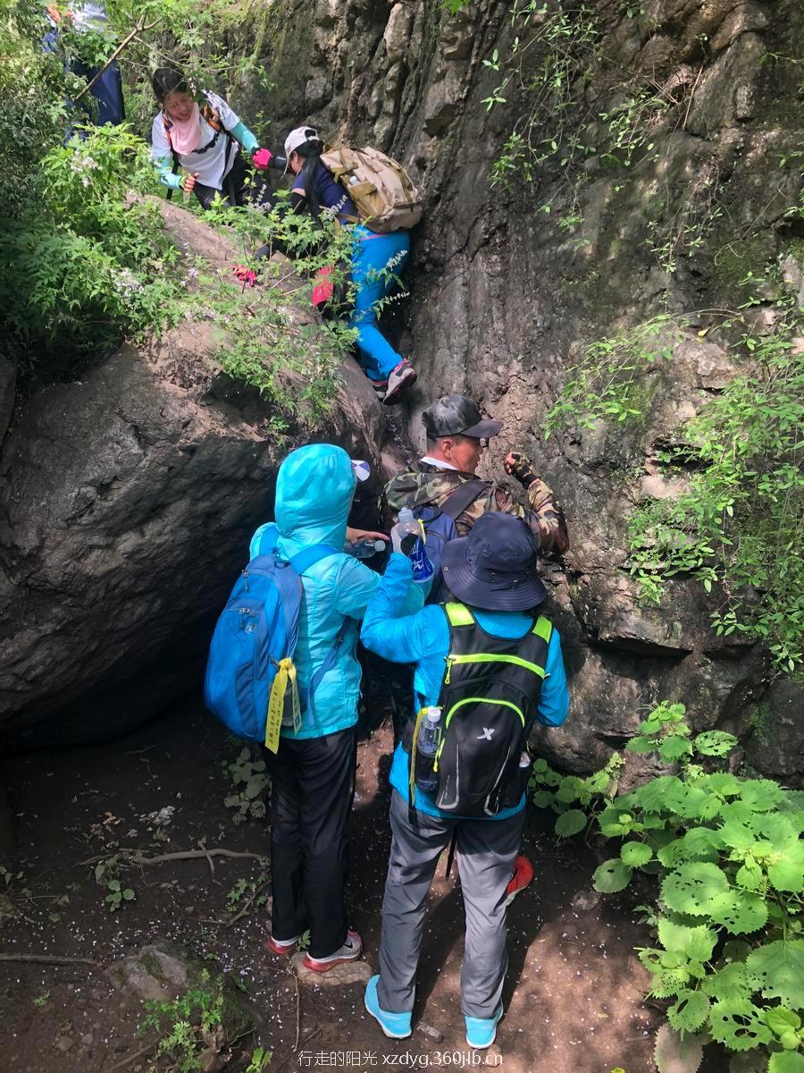 mmexport1531581656376(1)