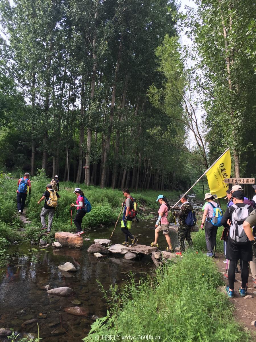 mmexport1531580381528