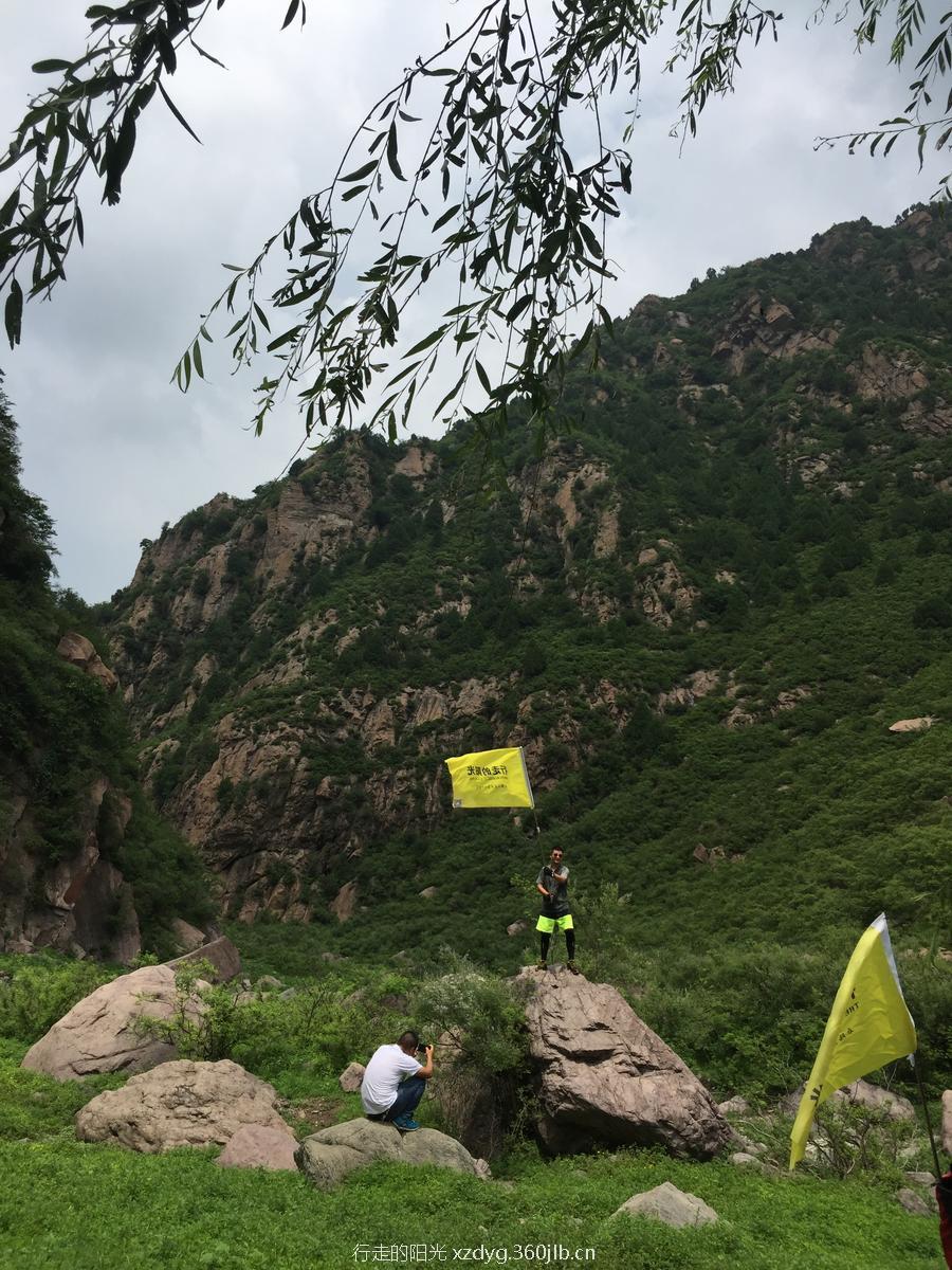 mmexport1531580279459