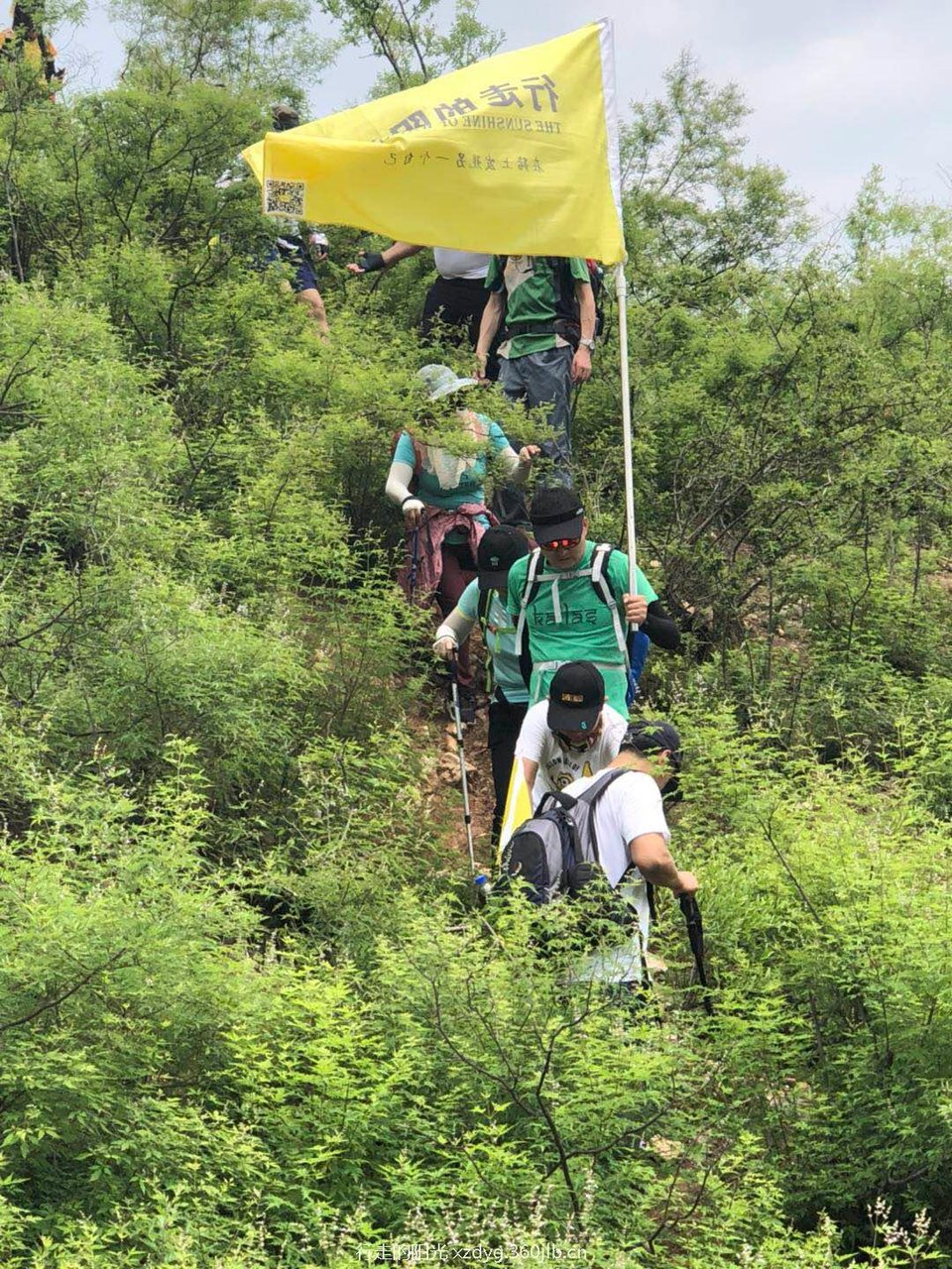 微信图片_20180619153036