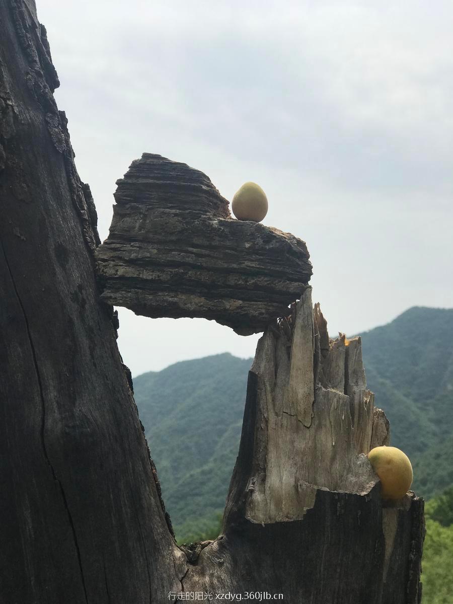 微信图片_20180619161658