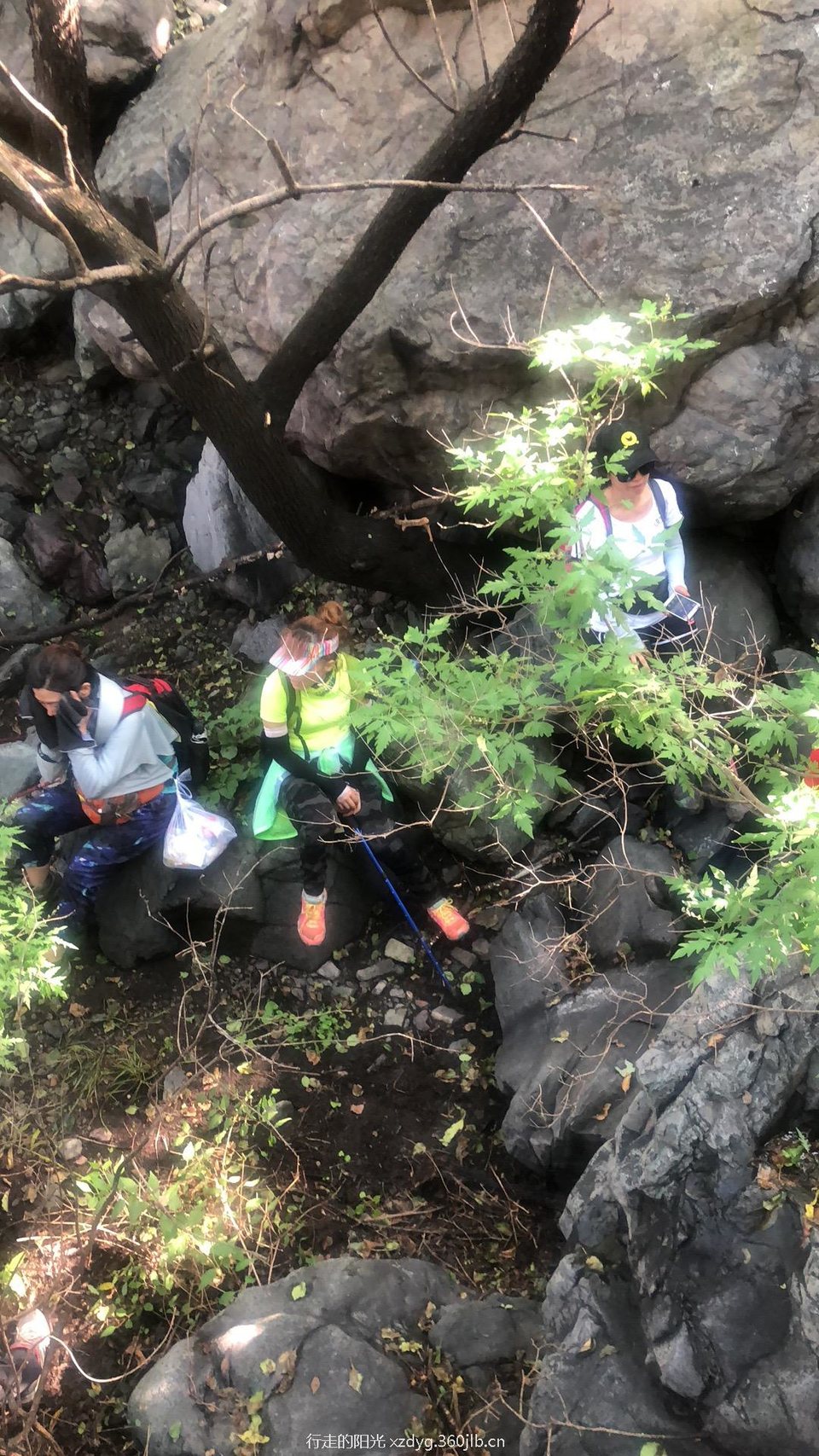 B79D77B7-43EA-4685-B565-BA02A5F23A04