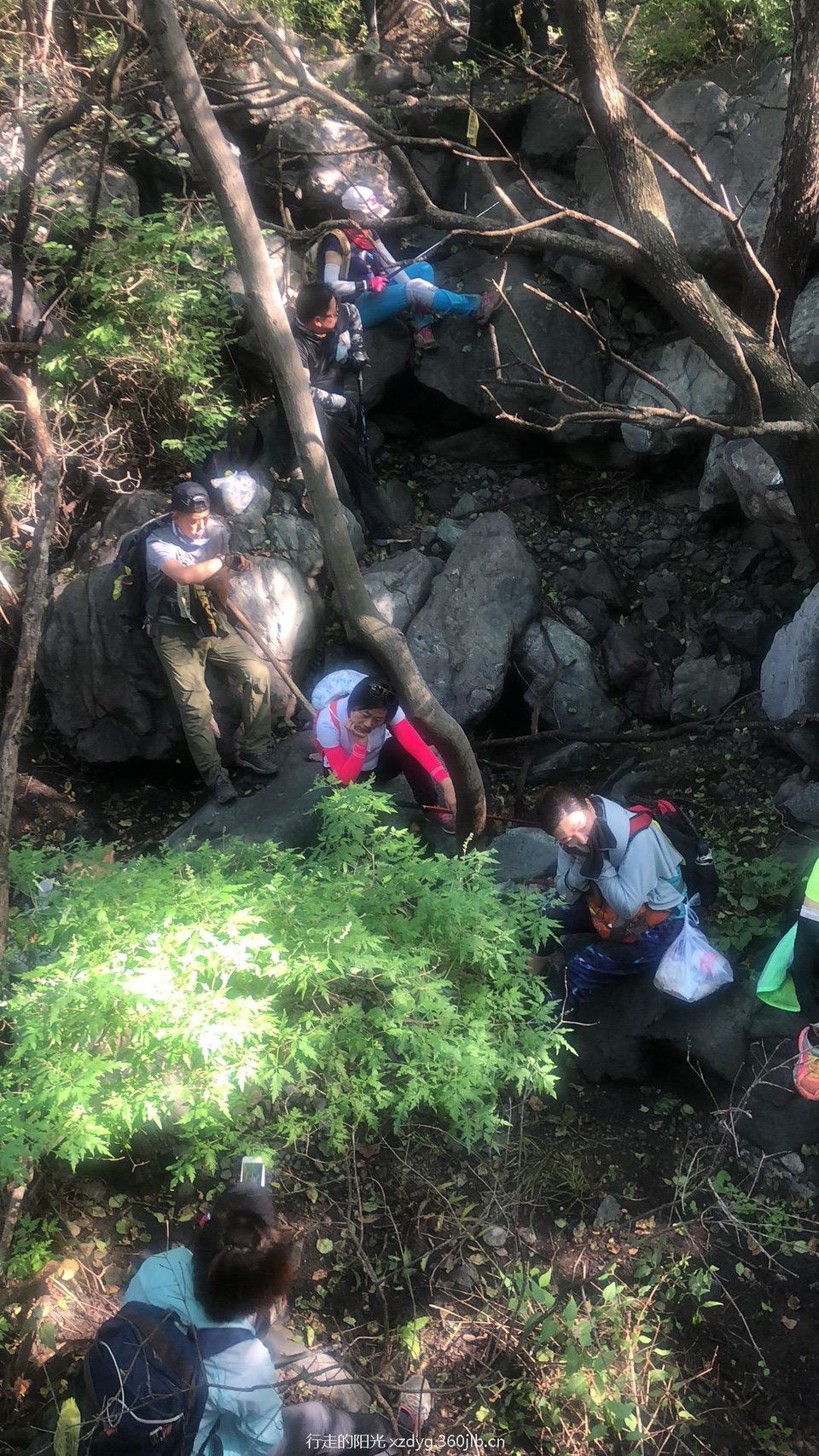 B1AA3333-7E28-408C-823D-FE511F454D8D