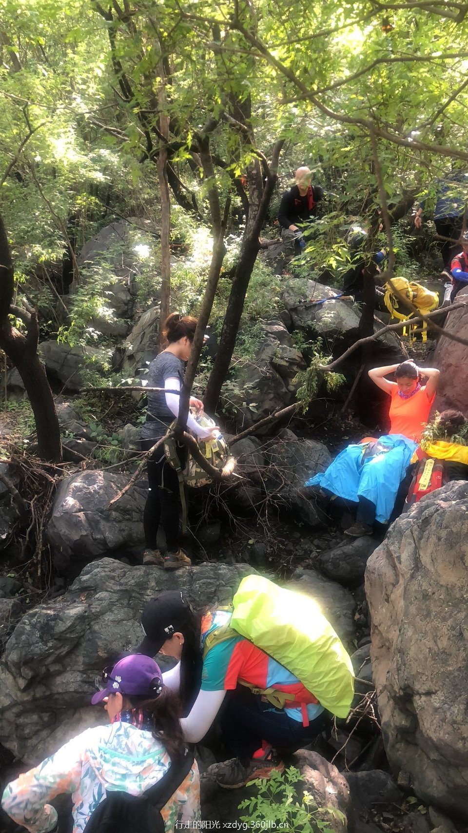 83E70348-AC62-420E-81A0-E42D7B5F026C