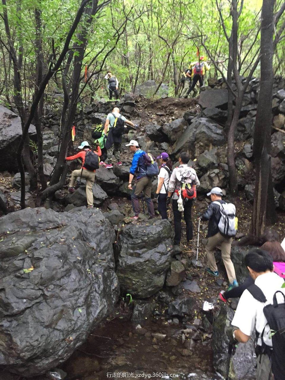 mmexport1534736628013