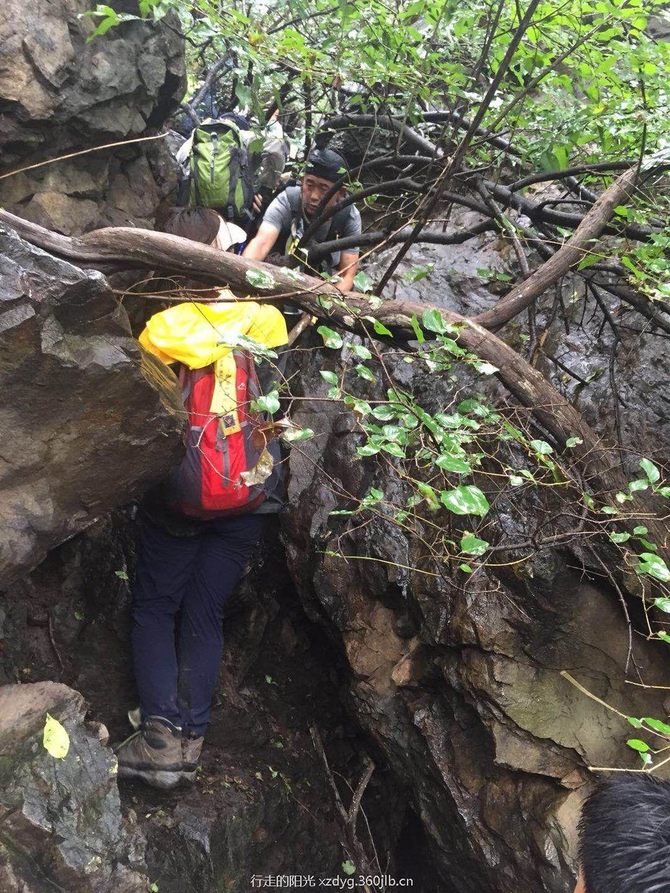 mmexport1534736648304