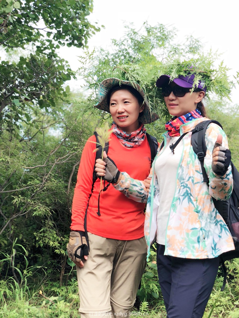 mmexport1534736801777