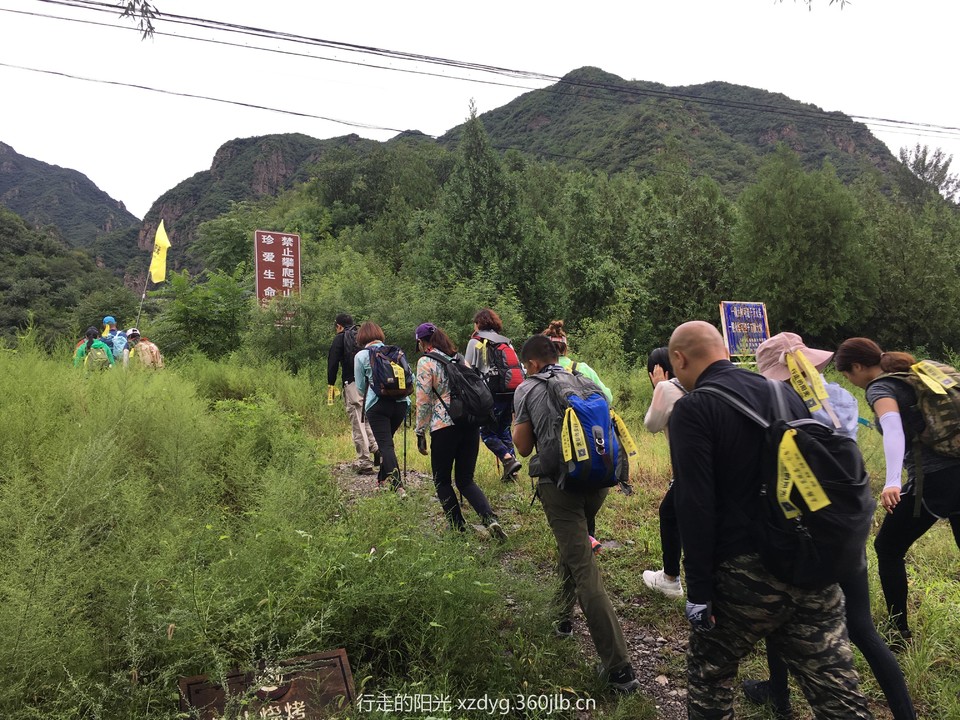 mmexport1534737270342