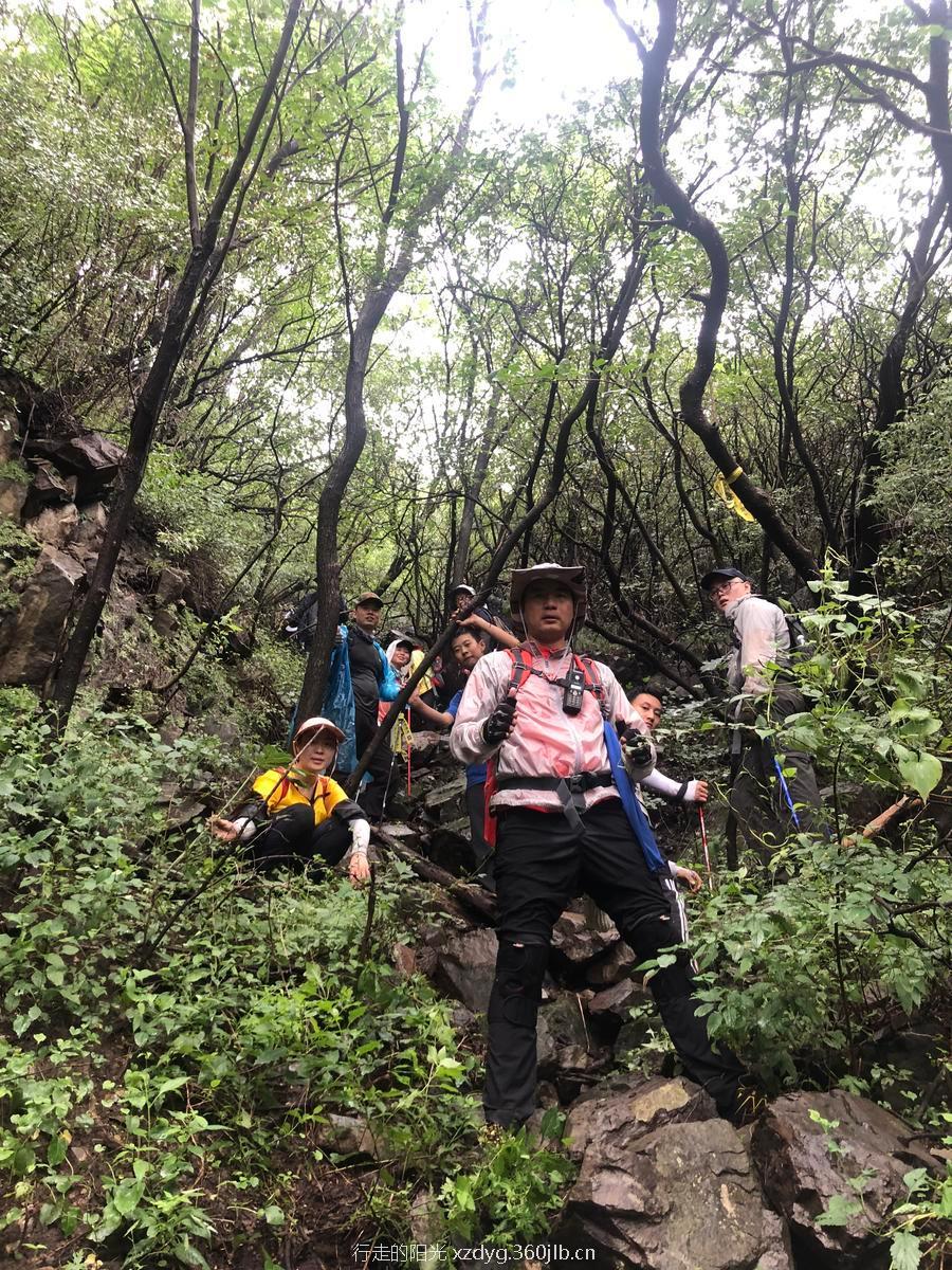 mmexport1534737713397