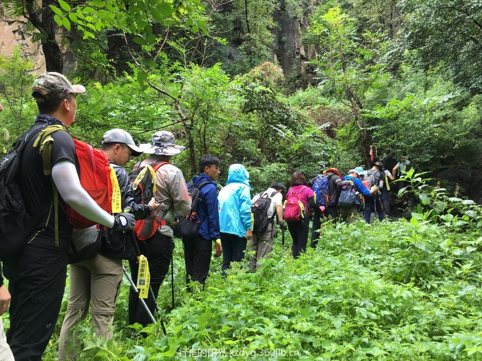 mmexport1534736778560