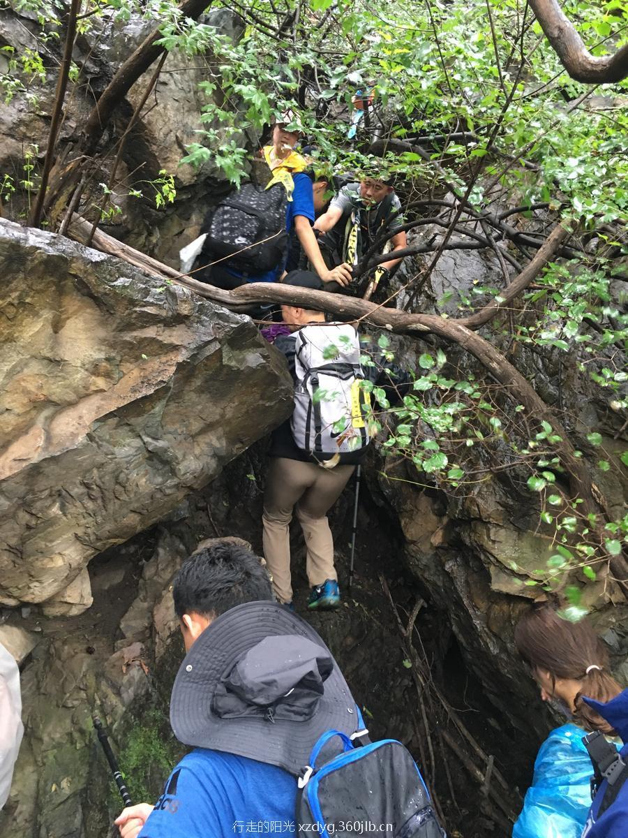 mmexport1534736248138