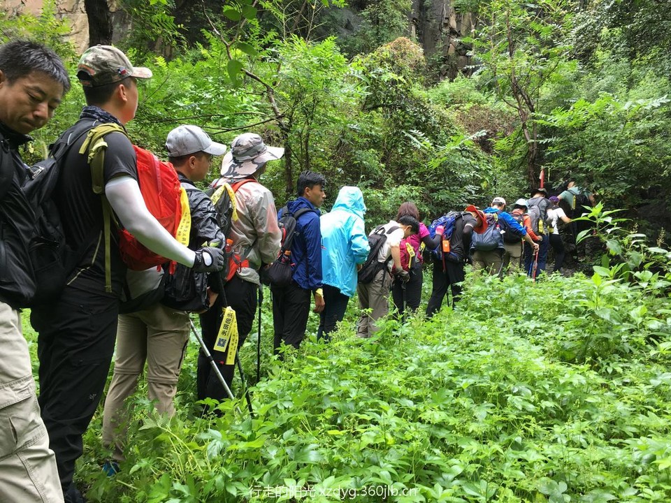 mmexport1534736213958