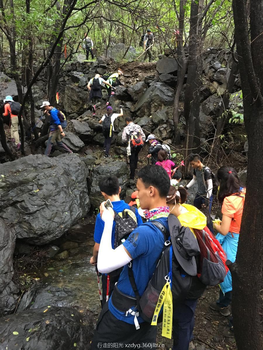 mmexport1534736203740