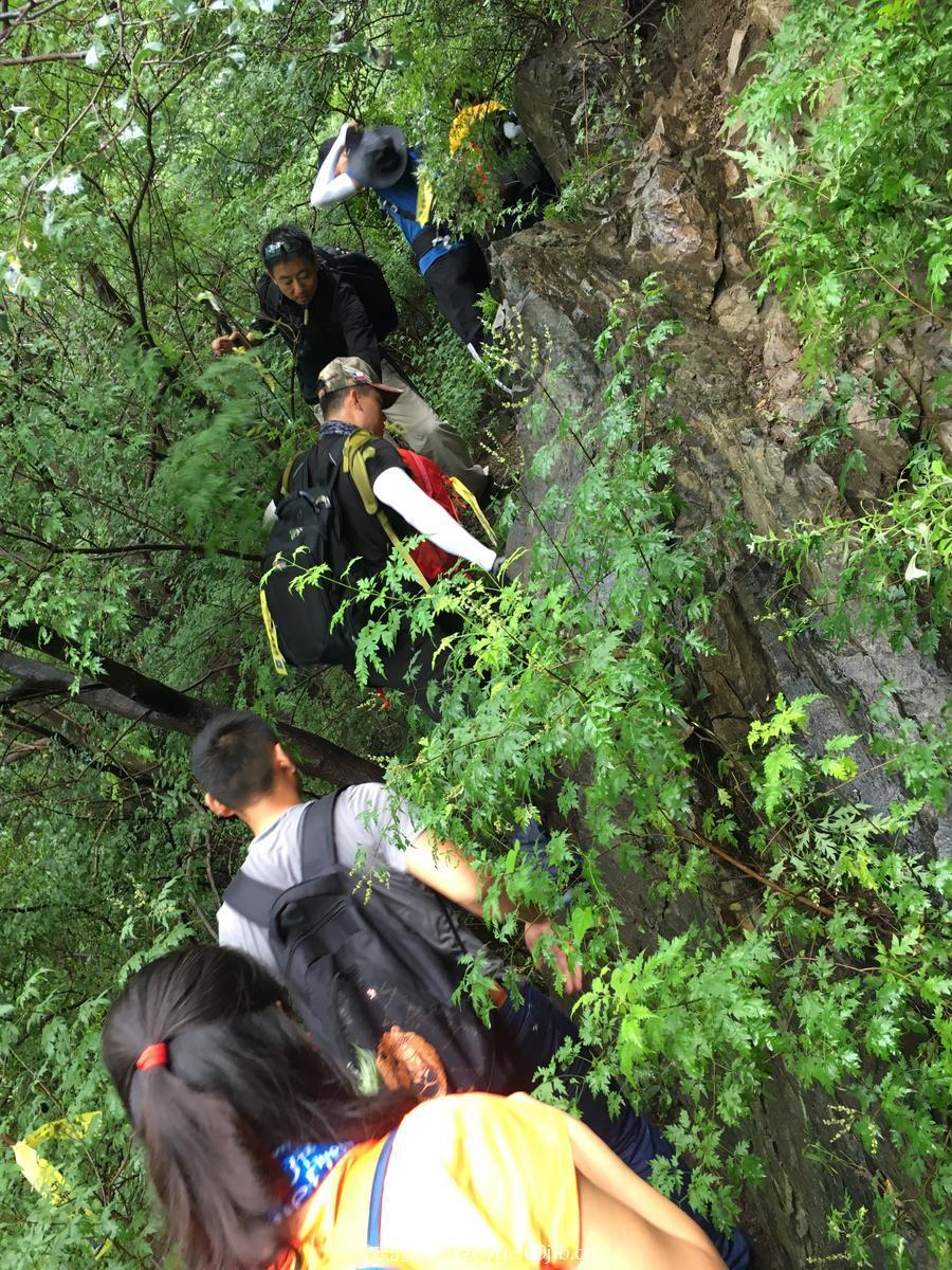 mmexport1534736165634