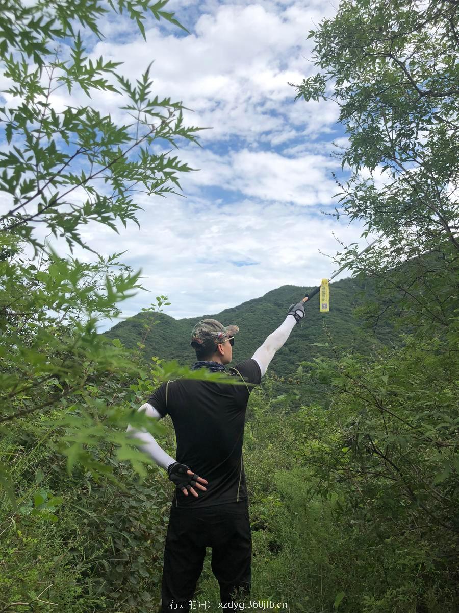 D32D1B70-946A-4C41-AC94-D4D658178046