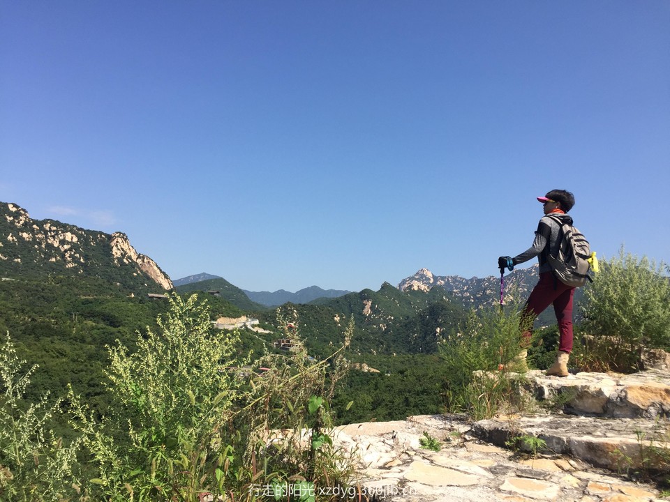 mmexport1535198134355