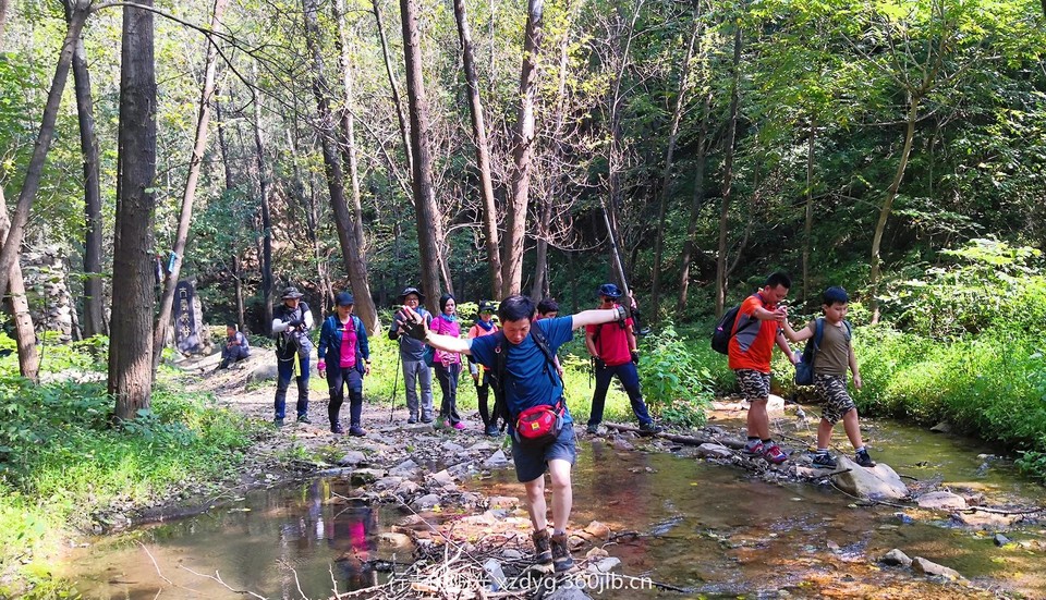 mmexport1535198319758