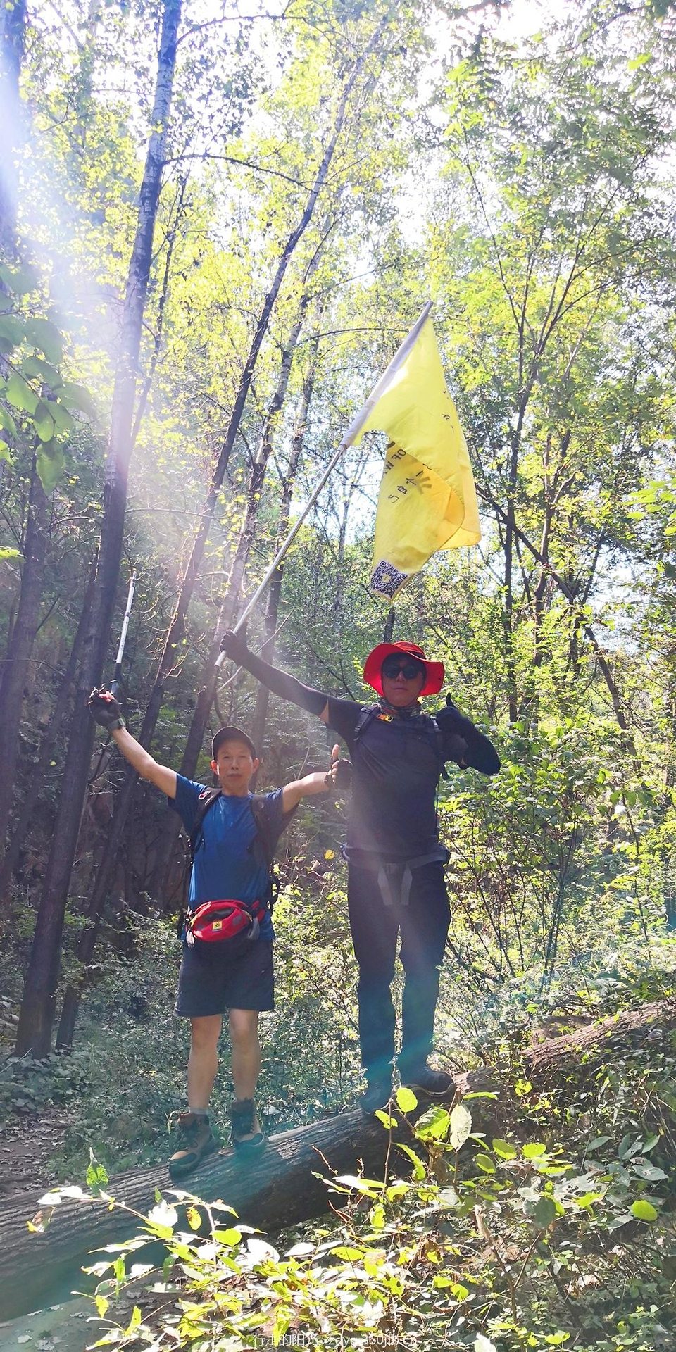 mmexport1535198328275