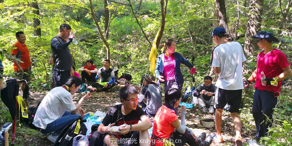 mmexport1535198374049