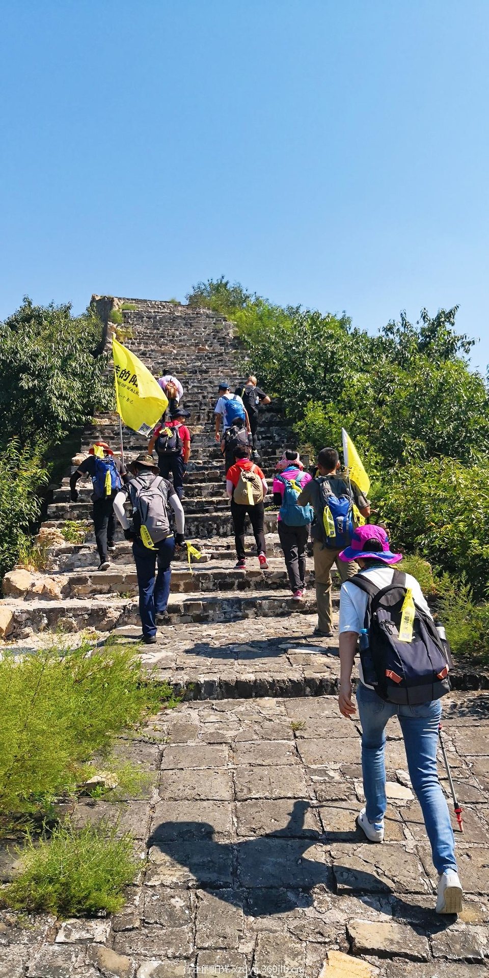 mmexport1535198386572