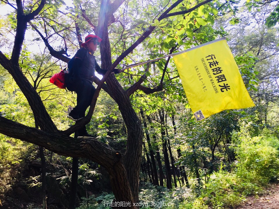 mmexport1535198415979