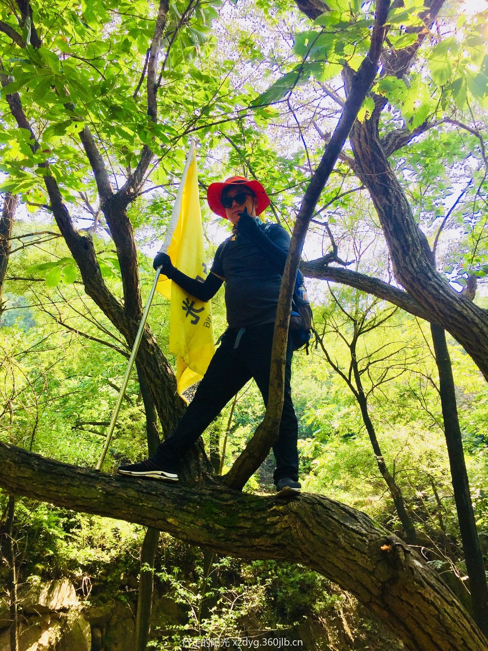 mmexport1535198429494