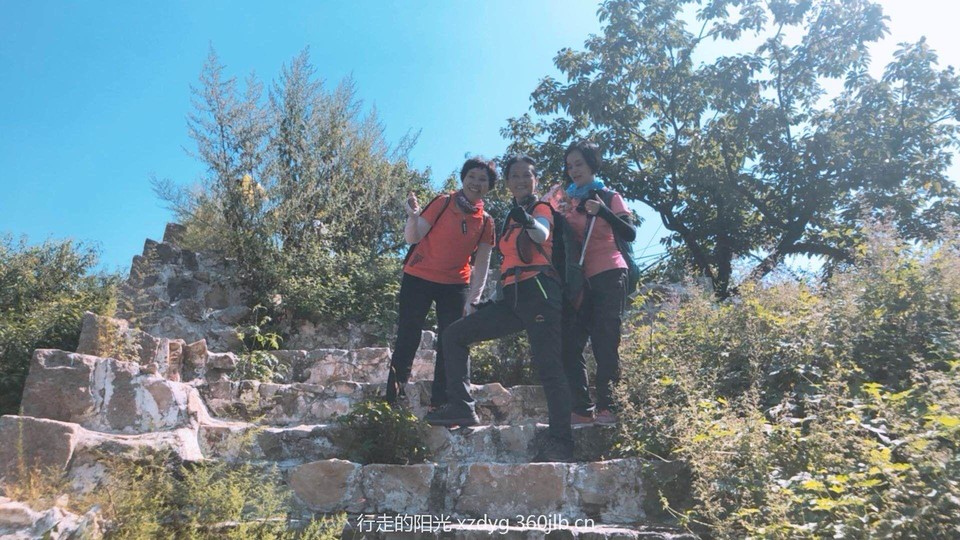 mmexport1535198626985