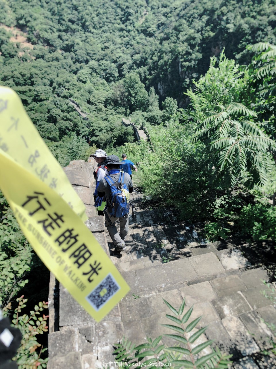 mmexport1535198642798