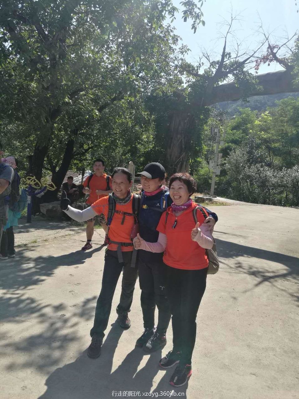 mmexport1535199611909