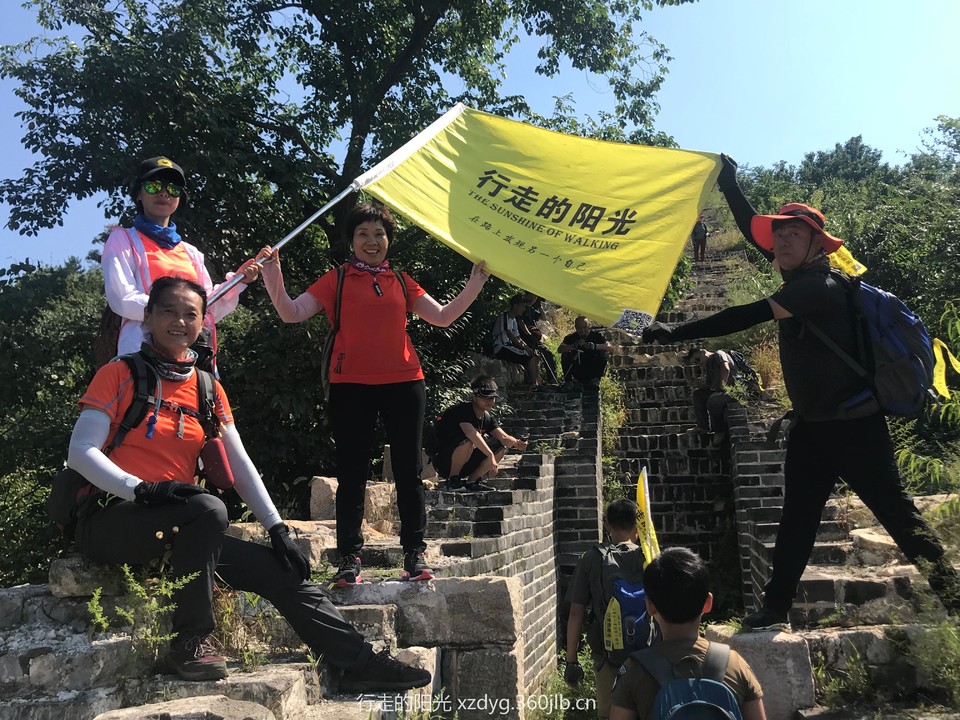 mmexport1535248776030