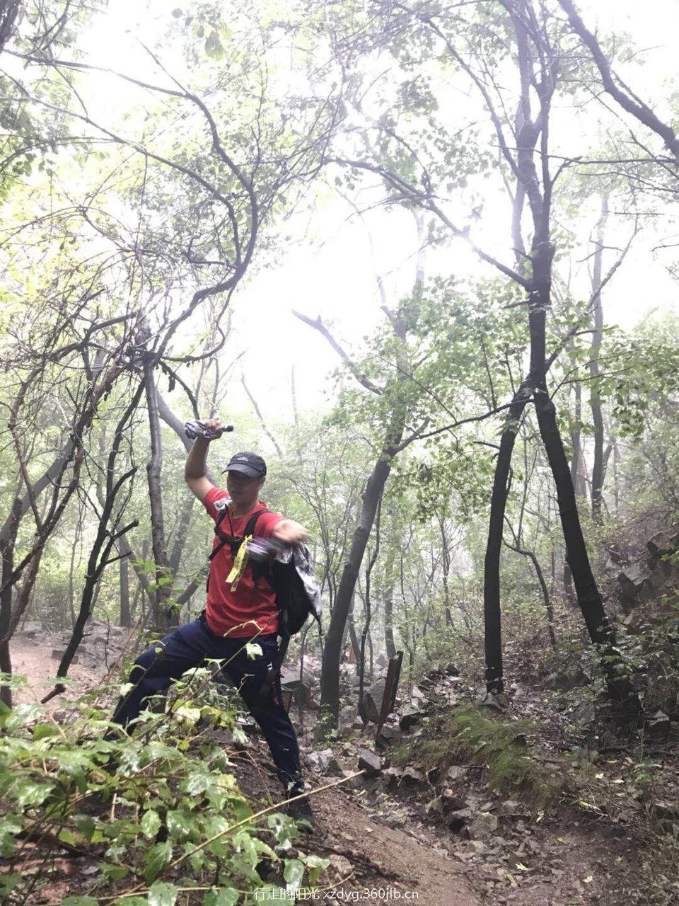 mmexport1535935839725