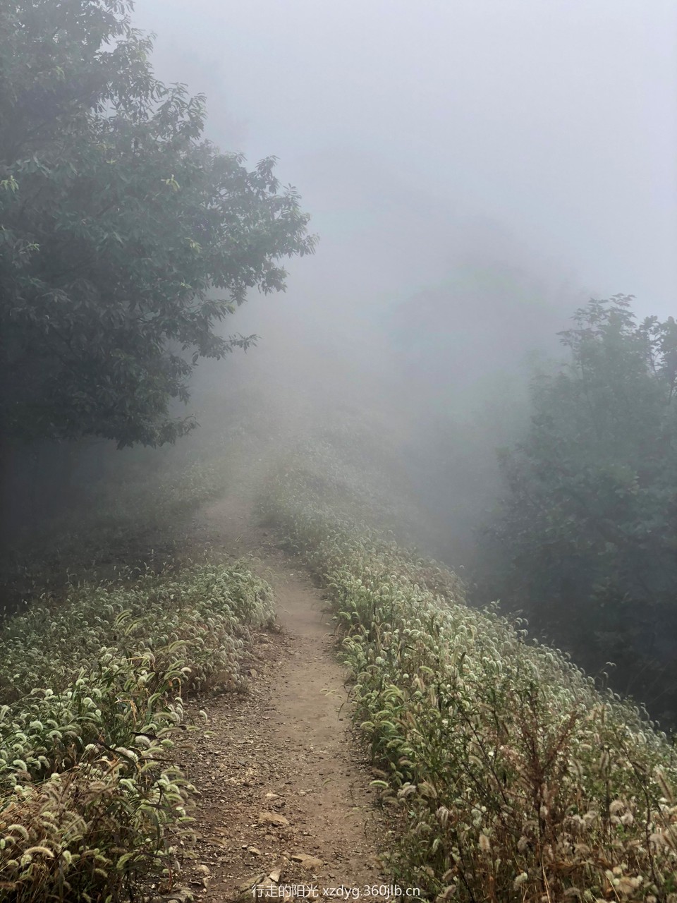 mmexport1535936649910