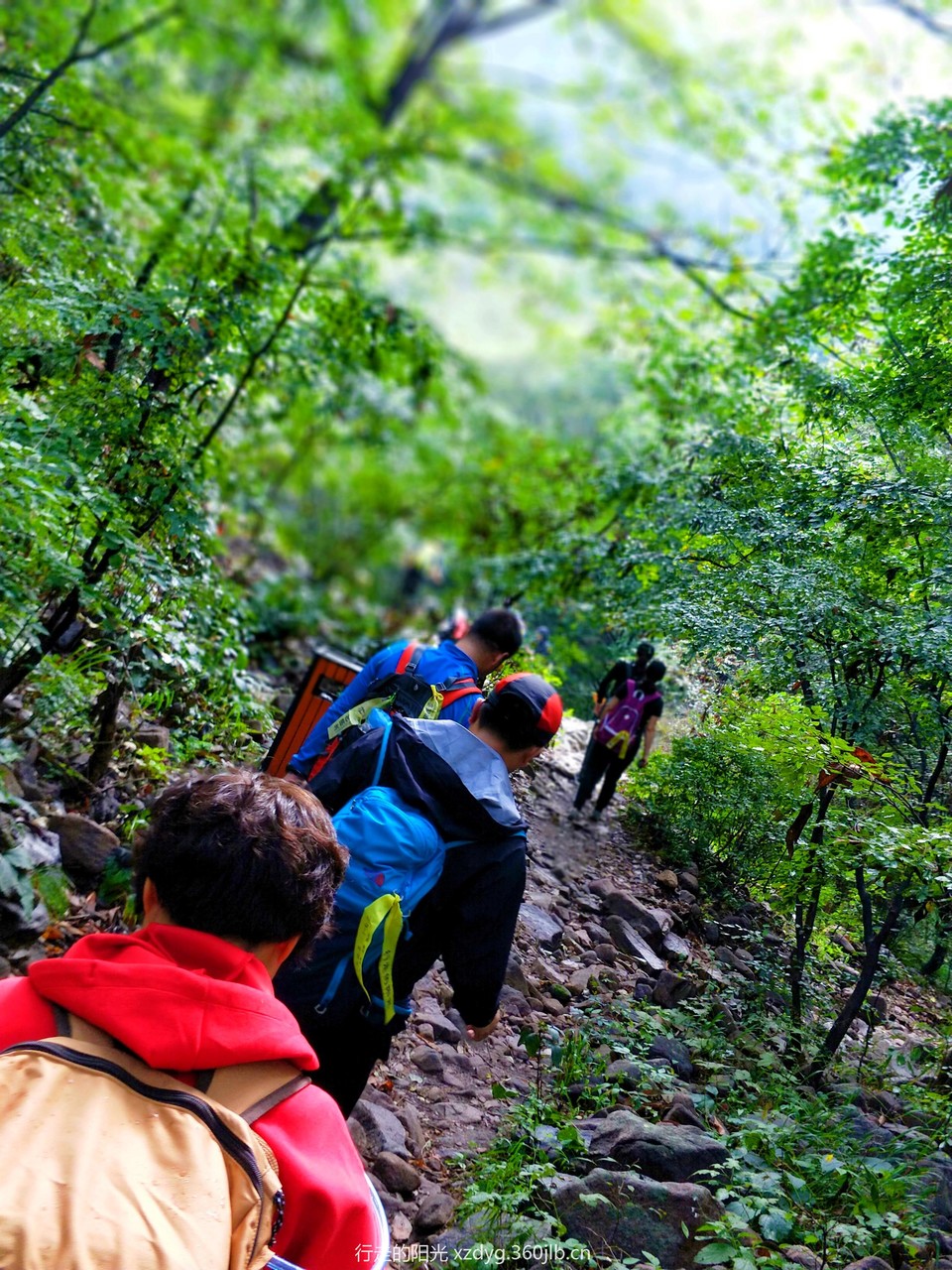 mmexport1535938376228