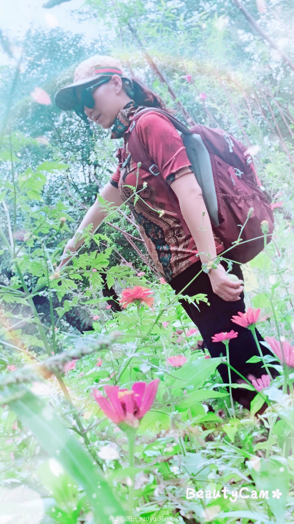 mmexport1535939252050