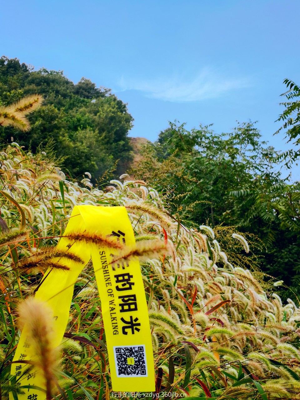 mmexport1535939421326