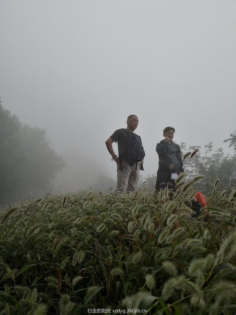 mmexport1535939454007