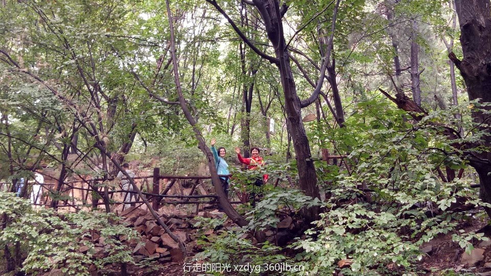 mmexport1535939631129