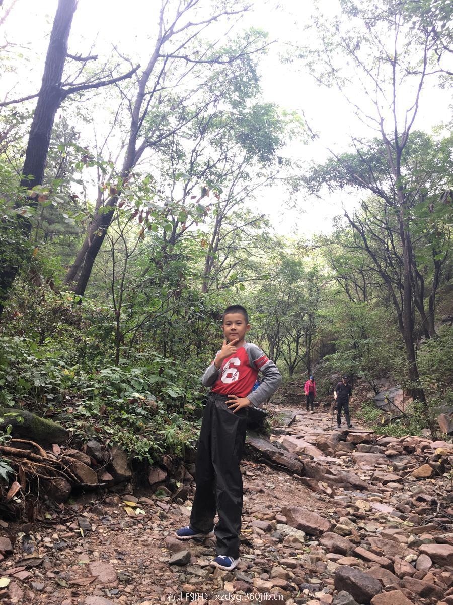 mmexport1535938450821