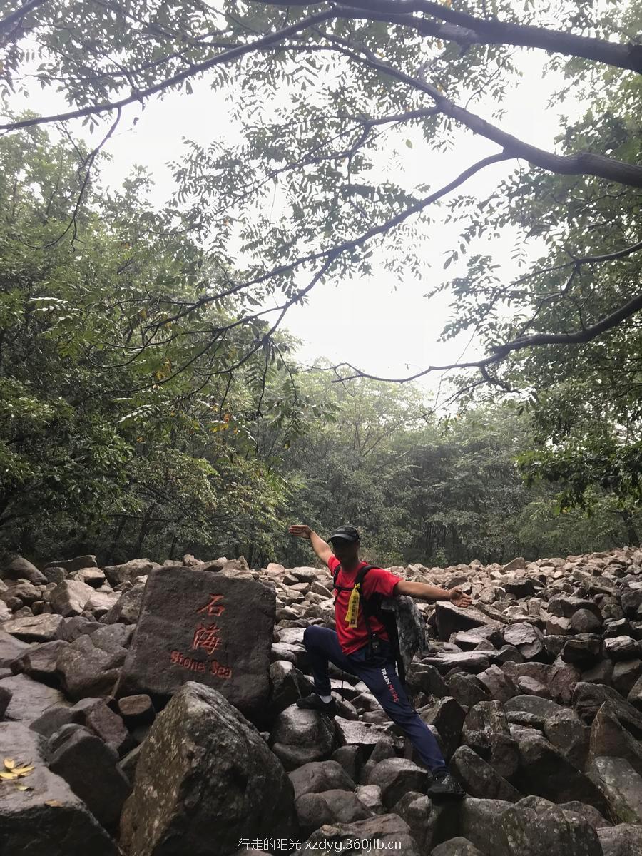 mmexport1535936099328