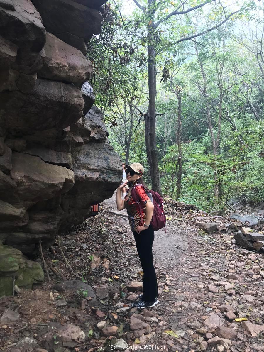 mmexport1535935637975(1)