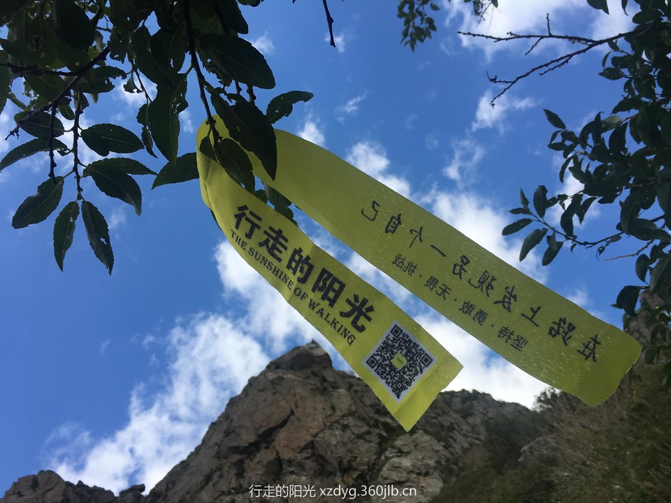 mmexport1536498866856