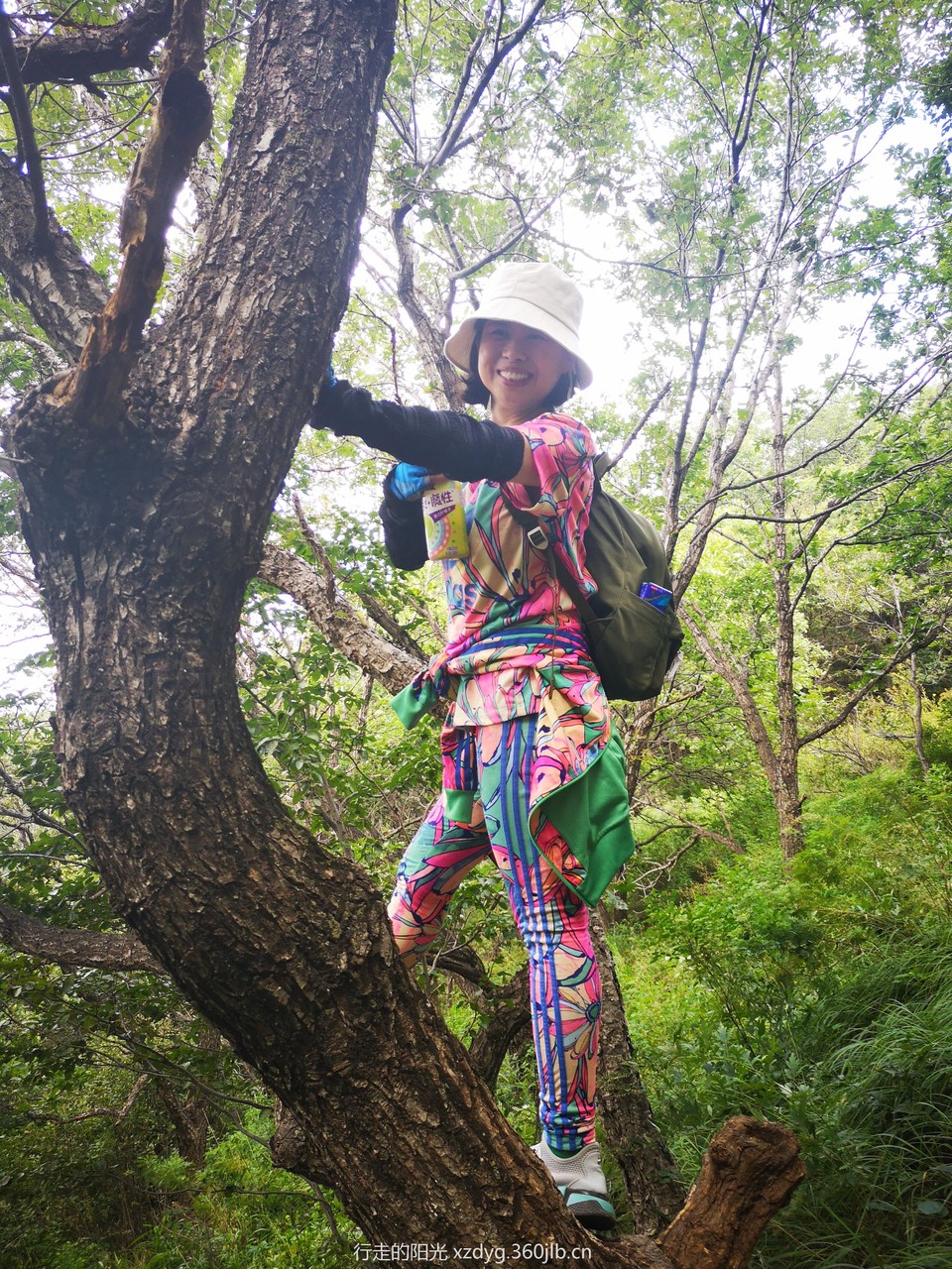 mmexport1536499370775