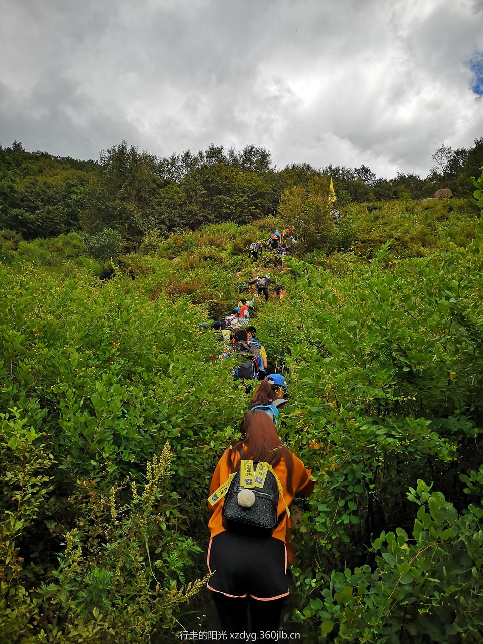 mmexport1536499384577