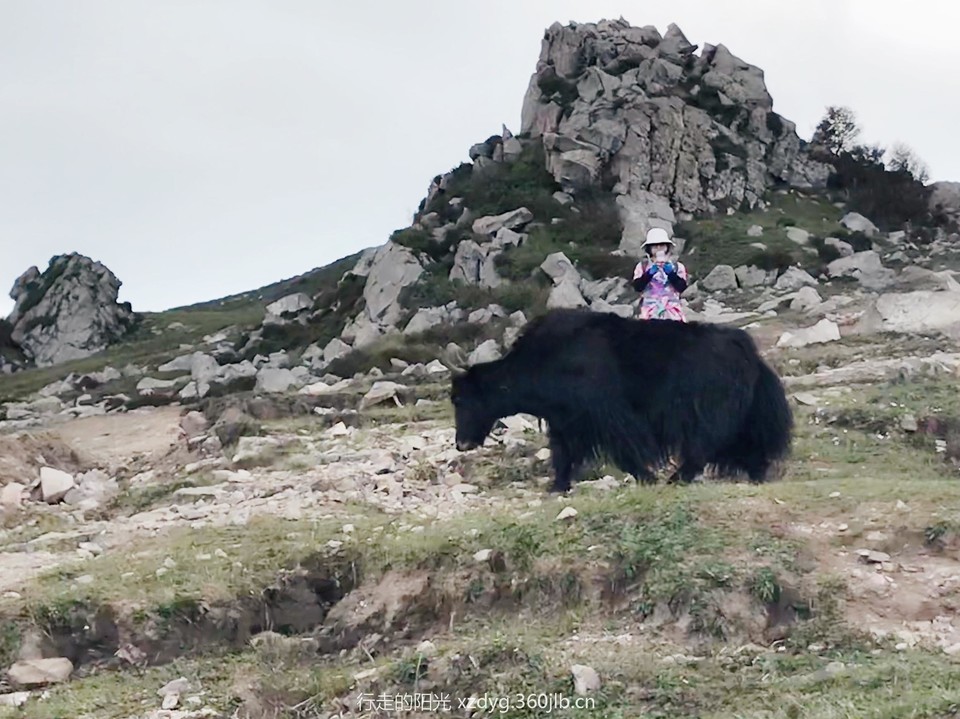 mmexport1536500598584