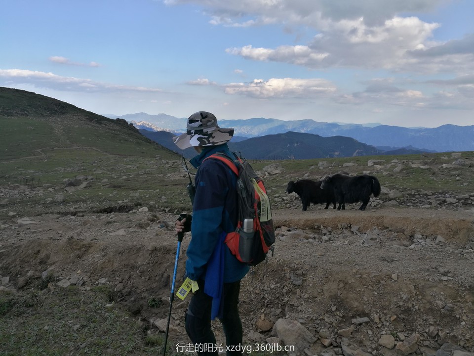 mmexport1536501418053