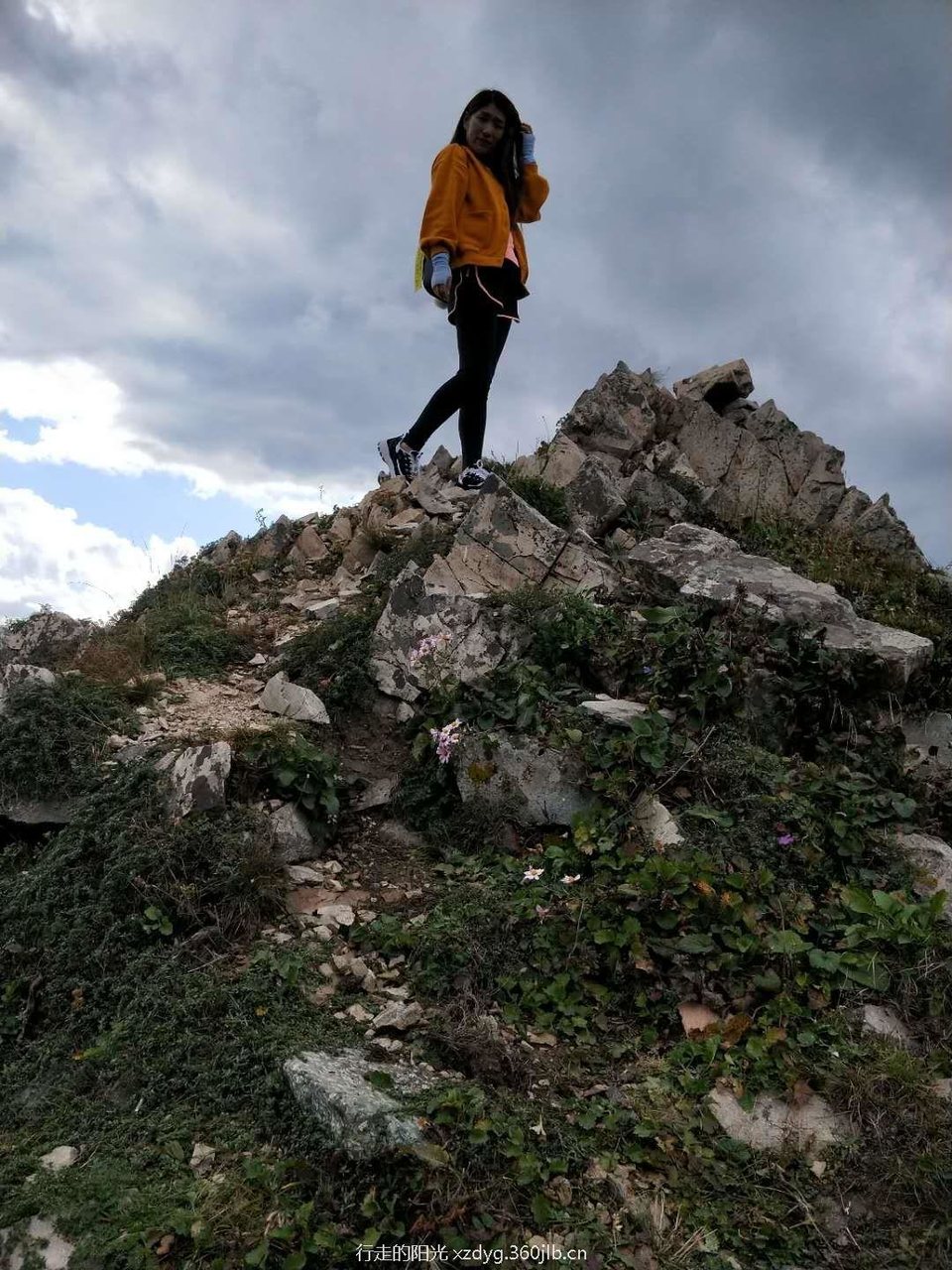 mmexport1536503932367